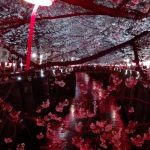 中目黒(目黒川)の夜桜