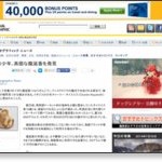 龍涎香 価格