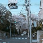 桜坂の場所