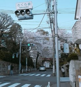 桜坂の場所