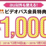 ビデオパス 映画鑑賞料金1,000円